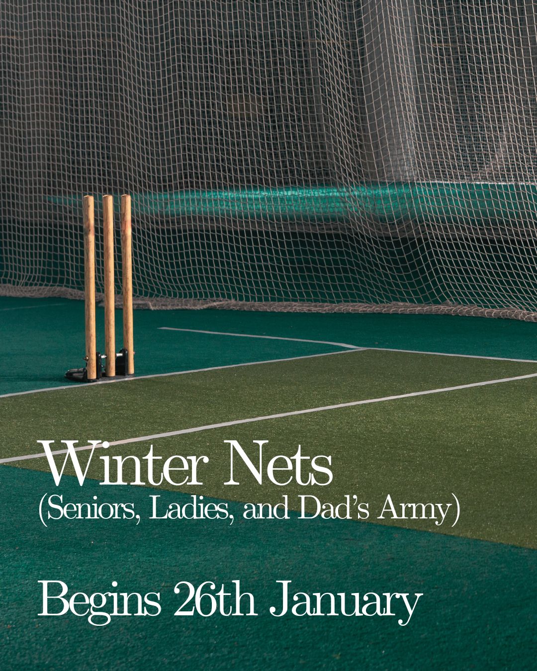 Yellow Minimalist Aesthetic Summer Teaser Announcement Instagram Post.jpg