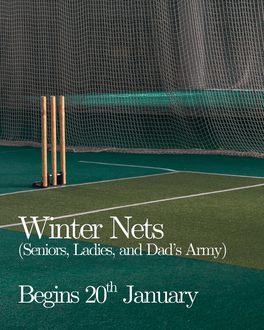 Yellow Minimalist Aesthetic Summer Teaser Announcement Instagram Post.jpg