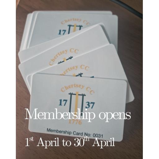 Yellow Minimalist Aesthetic Summer Teaser Announcement Instagram Post-6.jpg